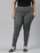 Women Grey Stripe Printed Jeggings