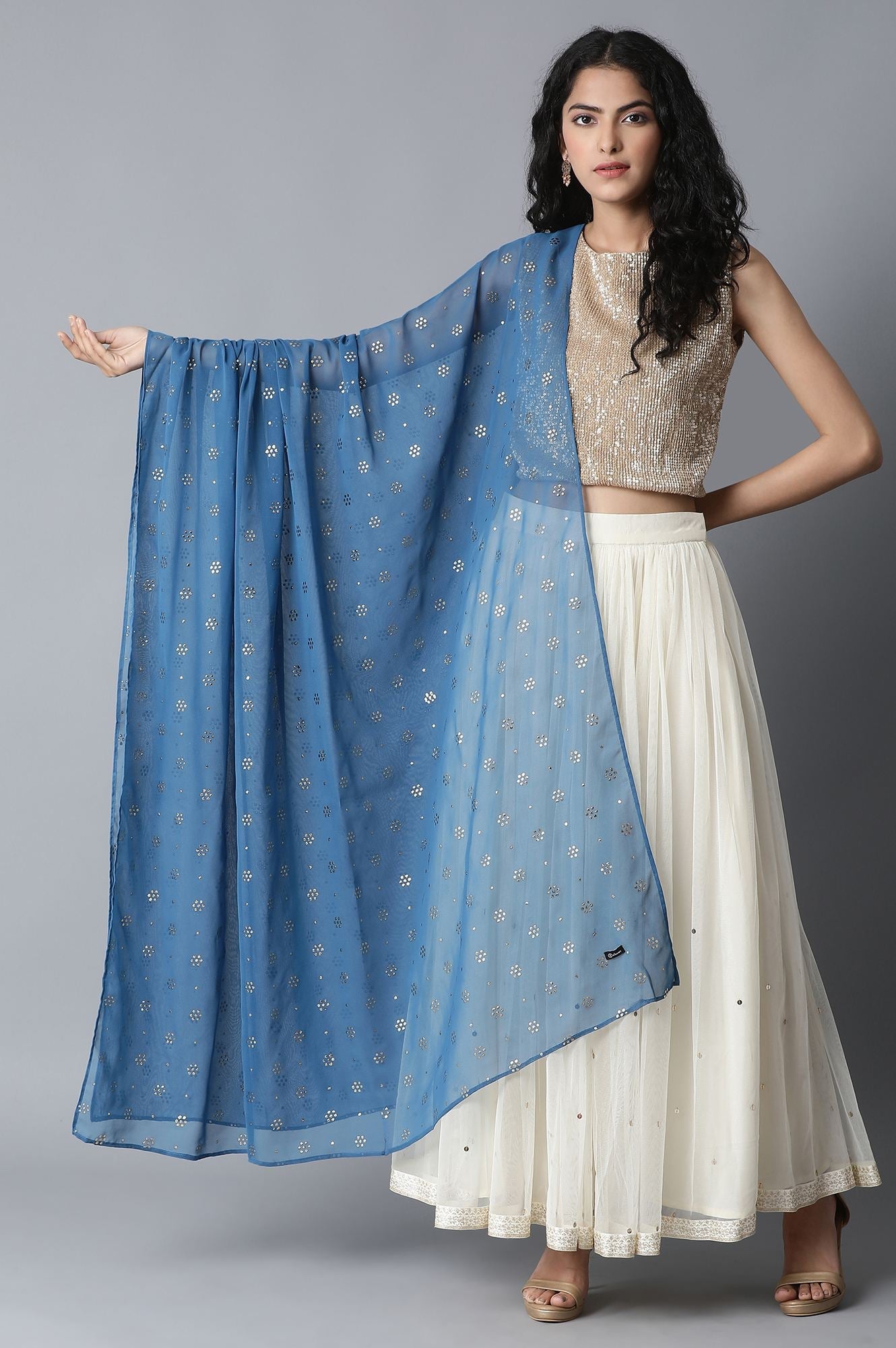 Blue Foil Print Dupatta