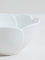 Westside Home White Porcelain Large Tropical Bowl