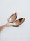 Westside Home Brown Copper Tea Spoons (Set of 4)