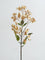 Westside Home Peach Star Artificial Flower