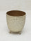 Westside Home Gold Textured Planter with Feet - Small