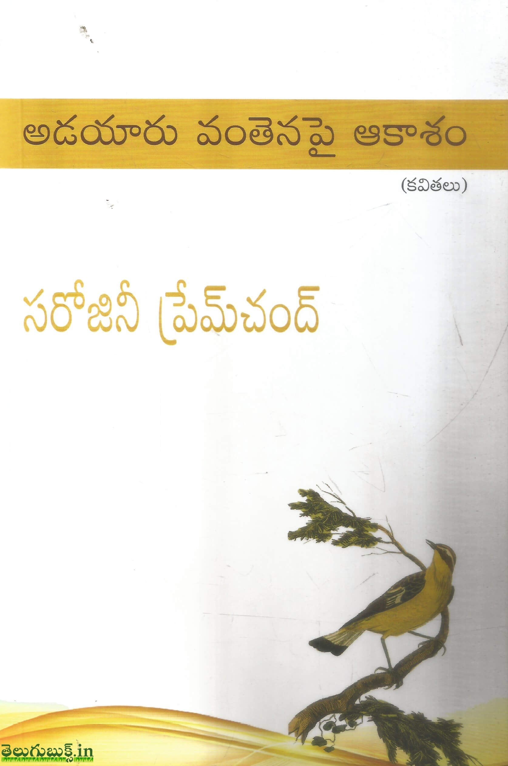 Adayaaru Vanthenapi Akasham