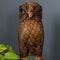 Wooden Distressed Owl