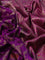 Banarasi handloom dupion silk saree purple and purple with allover thread & zari weaves floral weaves and woven border