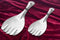 Rice Spoon Stainless Steel for Serving