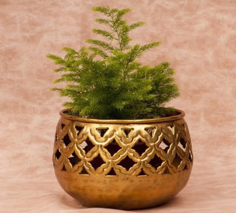 Brass Planter, Decorative Flower Pot for Indoor and Outdoor