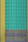 SEA GREEN and MULTI PATOLA SILK Saree with IKAT