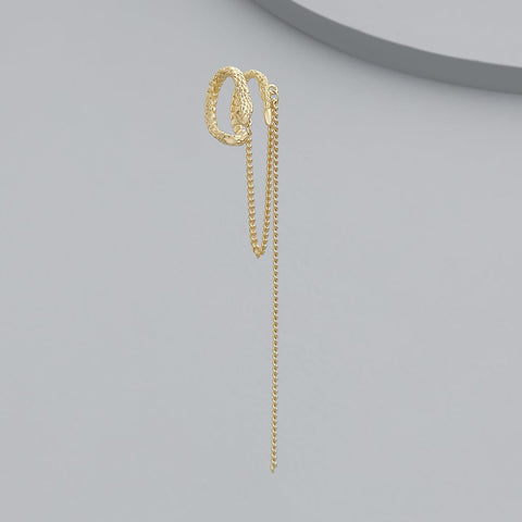 Trendy Earring 171047